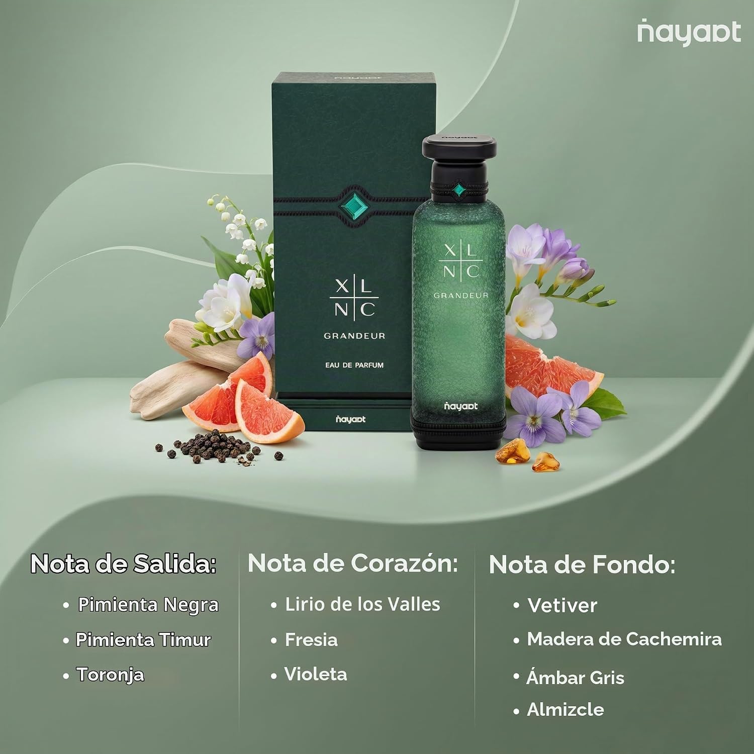XLNC Grandeur Nayaat