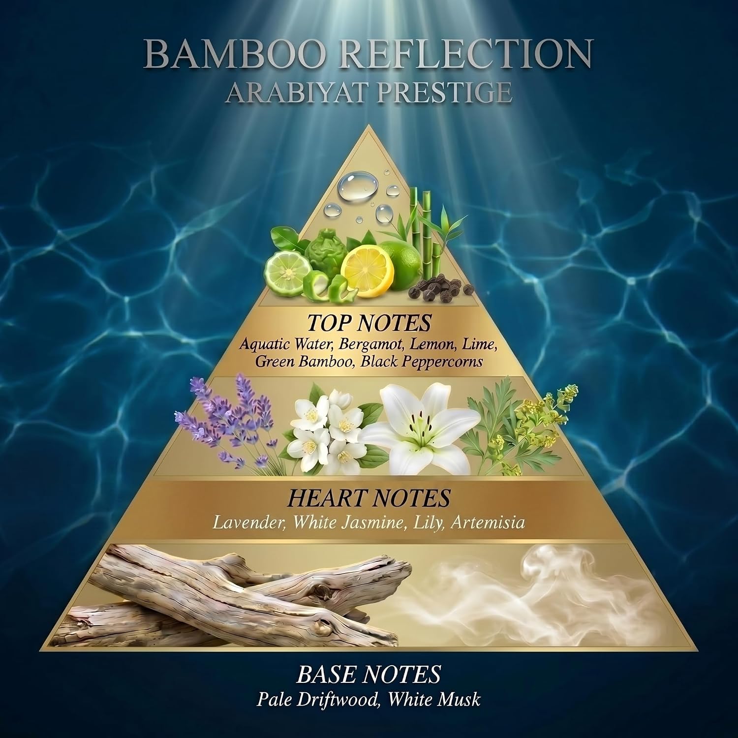 Bamboo Reflection Arabiyat Prestige