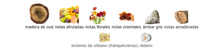 VOUX BLUE OUD EMIR - Paris Corner