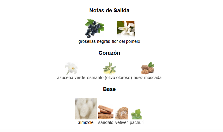 Maison Alhambra Luxe Bold