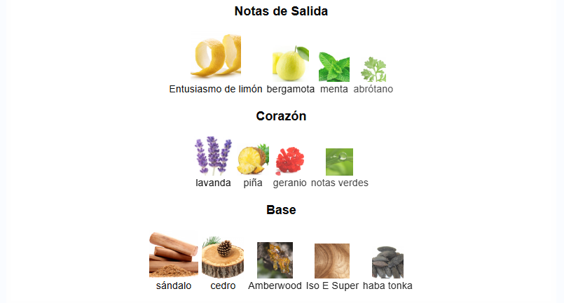 Jo milano Levante Blue Intense