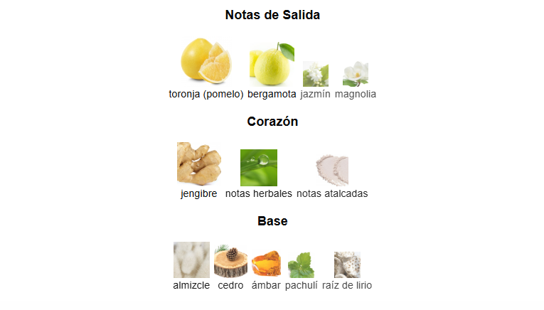 Bravanzo Vestige Dumont Paris