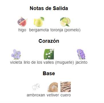 Blackoud Opulent  Extrait De Parfum