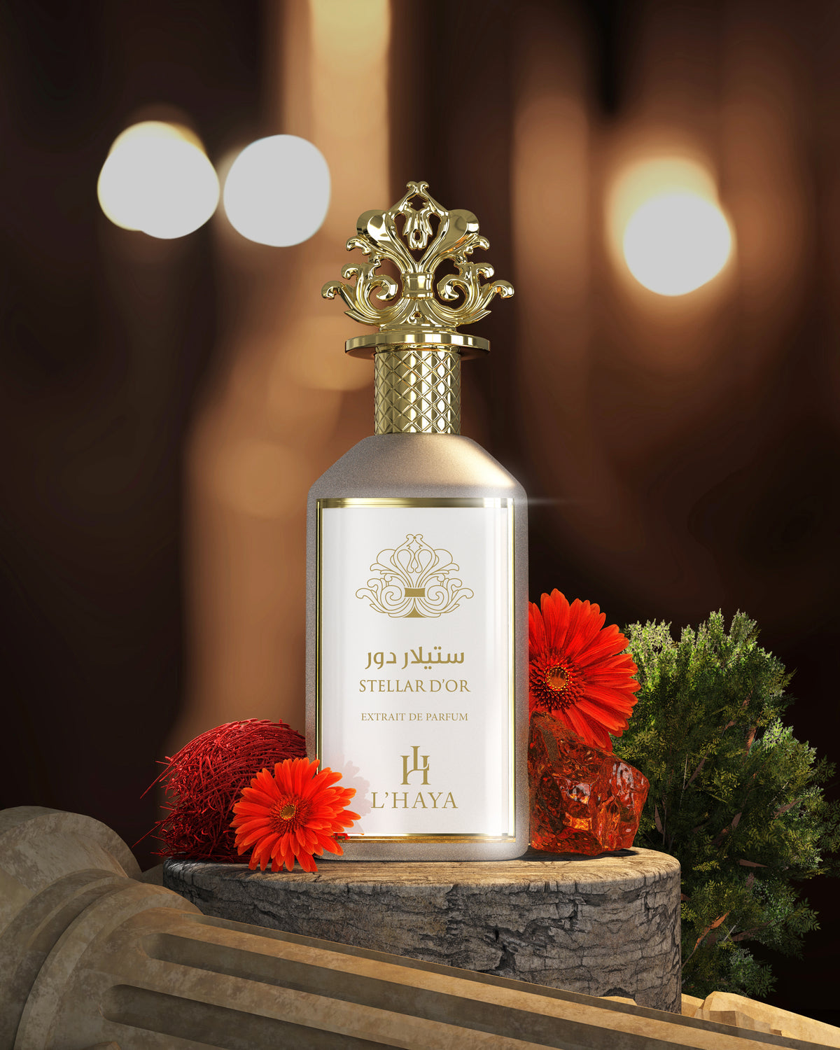 L’Haya- STELLAR D’OR