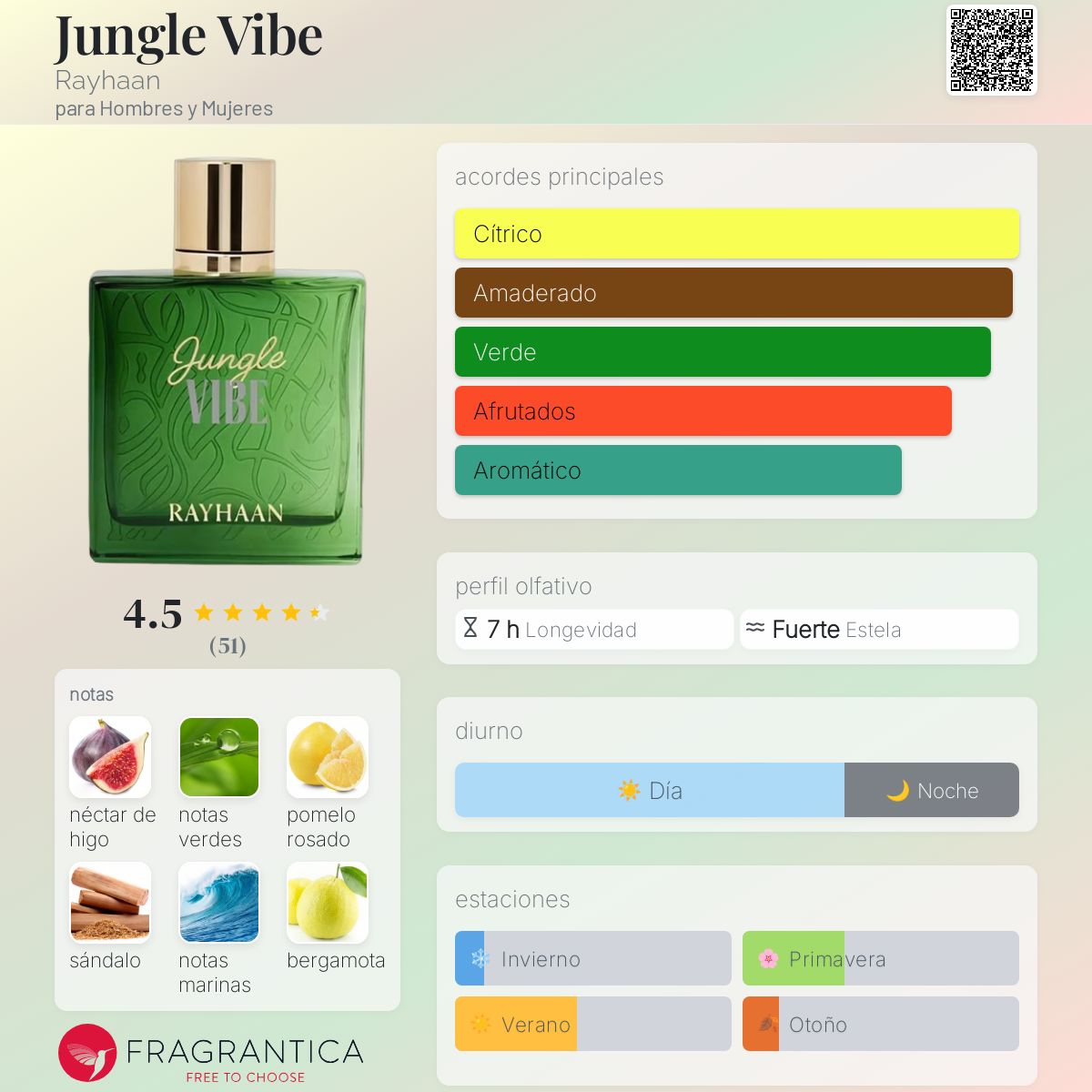Jungle Vibe Rayhaan
