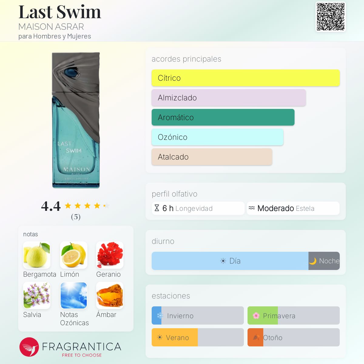 Last Swim MAISON ASRAR