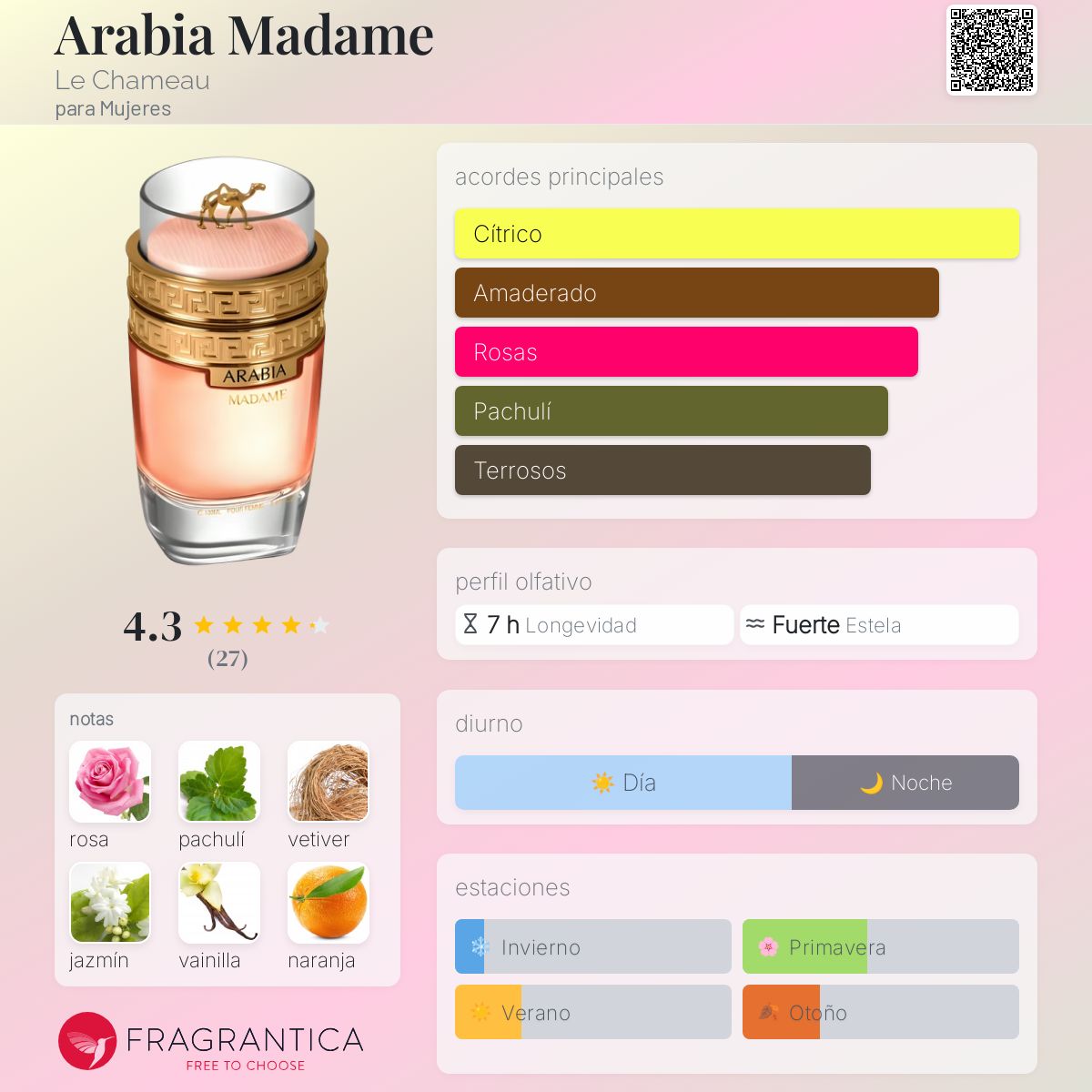 Arabia Madame Le Chameau